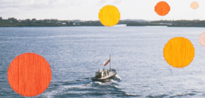 김진희 작가사진