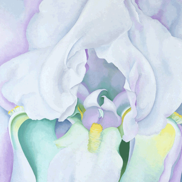 조지아 오키프 작가사진