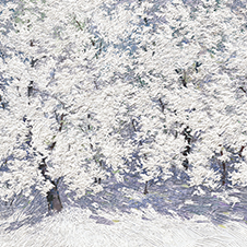 작가 프로필 사진