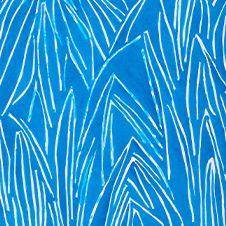 작가 프로필 사진