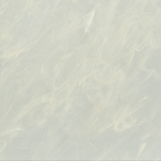 작가 프로필 사진