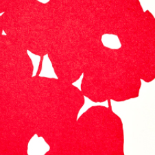 작가 프로필 사진