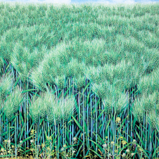 작가 프로필 사진