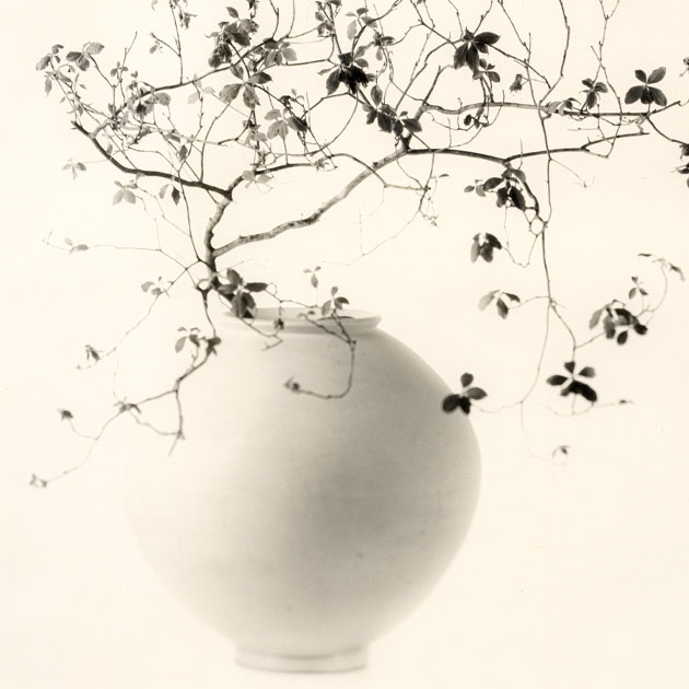 작가 프로필 사진