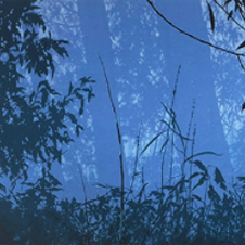 작가 프로필 사진