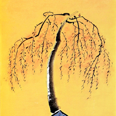 작가 프로필 사진