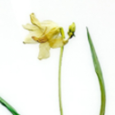 작가 프로필 사진