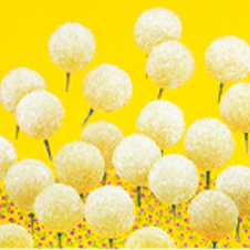 작가 프로필 사진