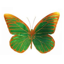 작가 프로필 사진