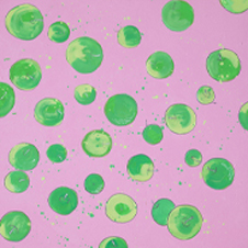 작가 프로필 사진