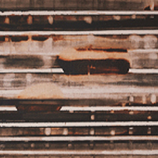 작가 프로필 사진