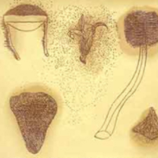 작가 프로필 사진