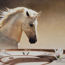 작가 프로필 사진