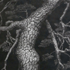 작가 프로필 사진