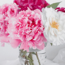 작가 프로필 사진