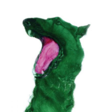 작가 프로필 사진