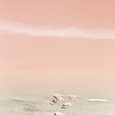 작가 프로필 사진