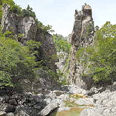 작가 프로필 사진