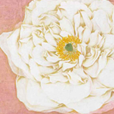 작가 프로필 사진