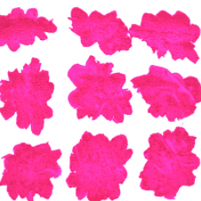 작가 프로필 사진