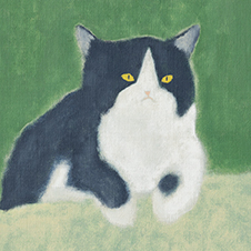 작가 프로필 사진