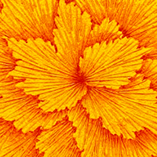 작가 프로필 사진