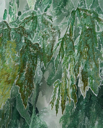 작가 프로필 사진