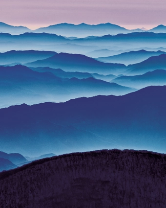 작가 프로필 사진