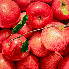 작가 프로필 사진