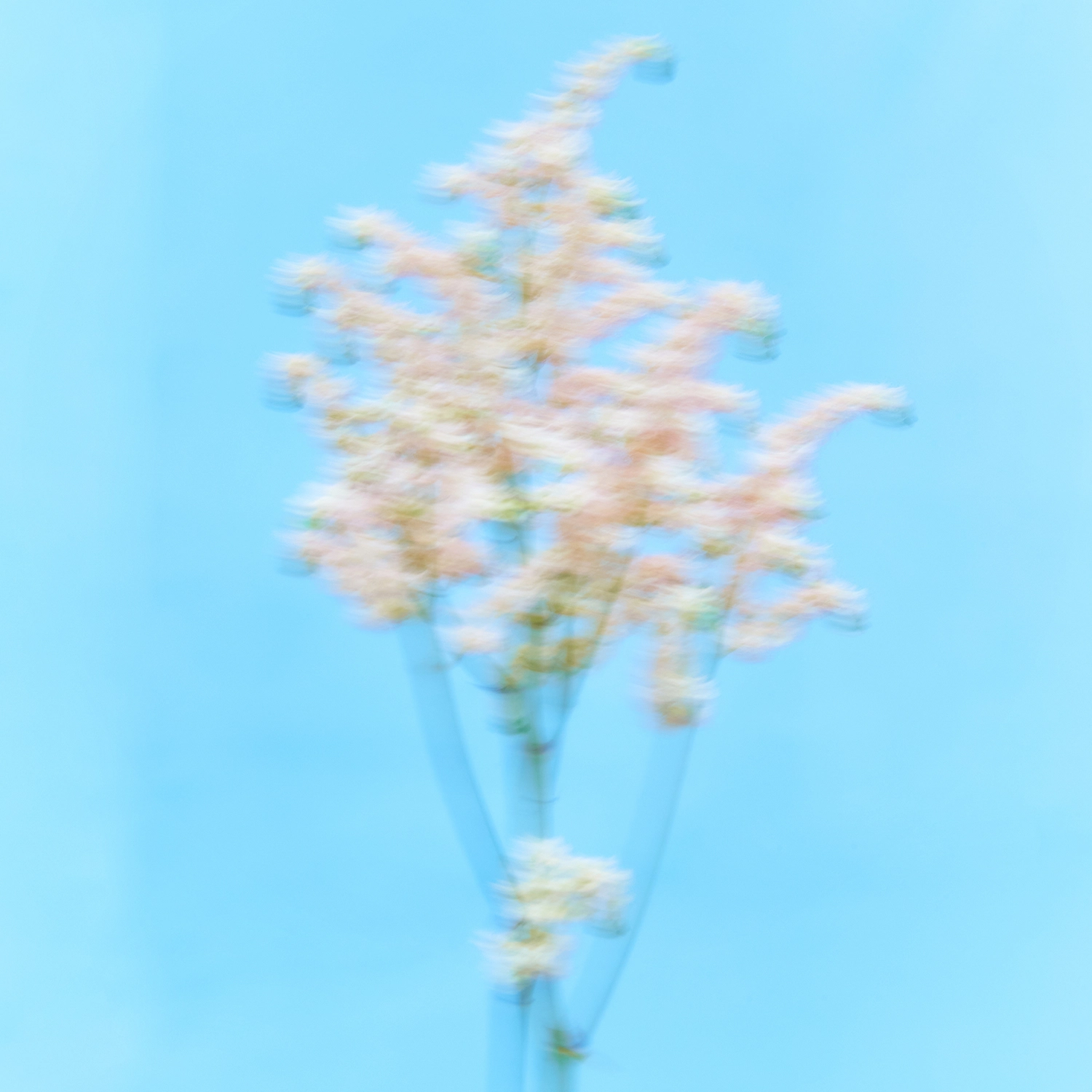 상세이미지1