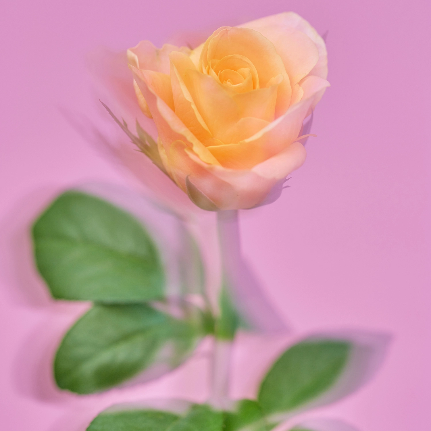상세이미지1