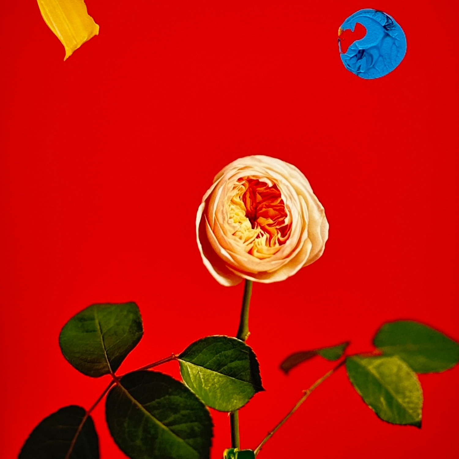 상세이미지2