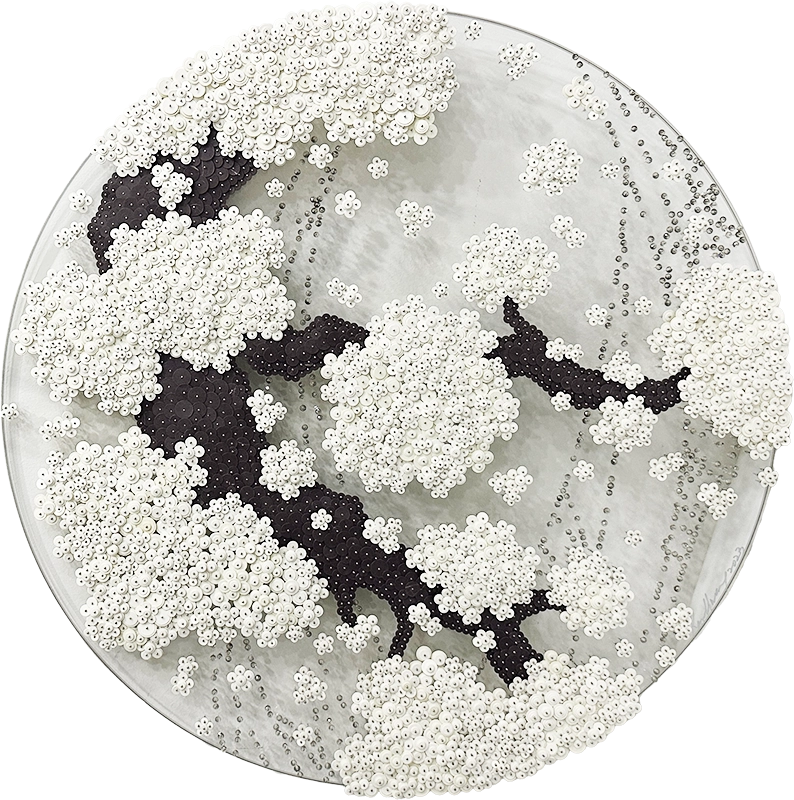 황란, Ode to second Full Moon_CWB