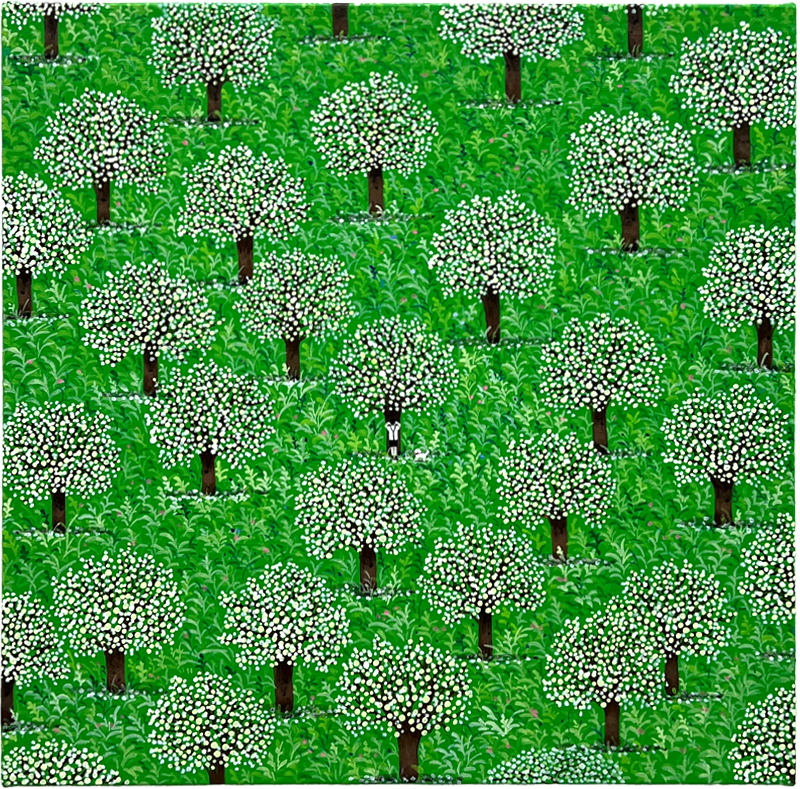 심봉민, 숨지않는 다롱이