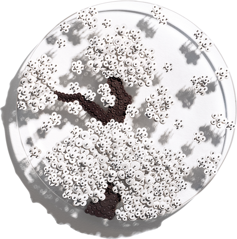 황란, Ode To Full Moon_02225