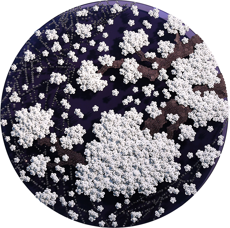 황란, Ode to Full Moon