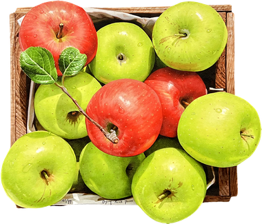 녹색 위의 붉은 사과