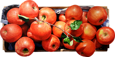 행복한 사과, 행복한 사람들