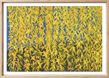 Spring 2003