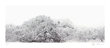 서설(瑞雪)