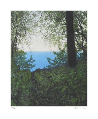 Over the trees, Autumn highnoon