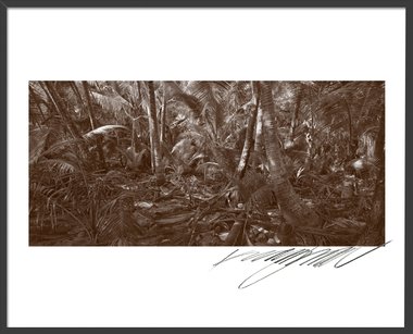 Lost in Paradise 2 (액자포함)