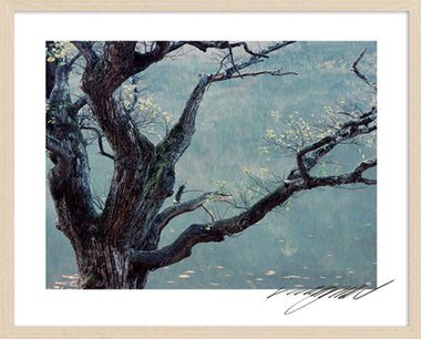 Remember Monet II (액자포함)