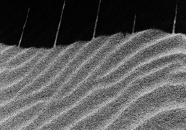 보이지 않은 시간 1