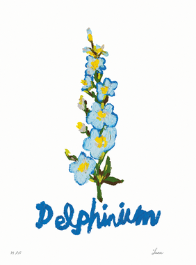 DELPHINIUM