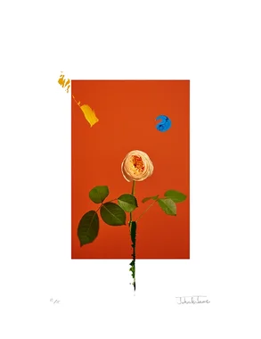 花詩-머물다간 시간 Ⅰ