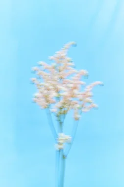花詩-57106 (액자포함)