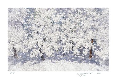 아름다운 순간-눈꽃