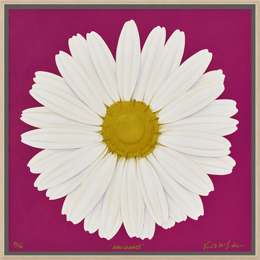 Avoidance (5점 한정 스페셜 특별가)