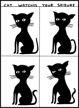 Cat Watches Your Seizure (액자포함)